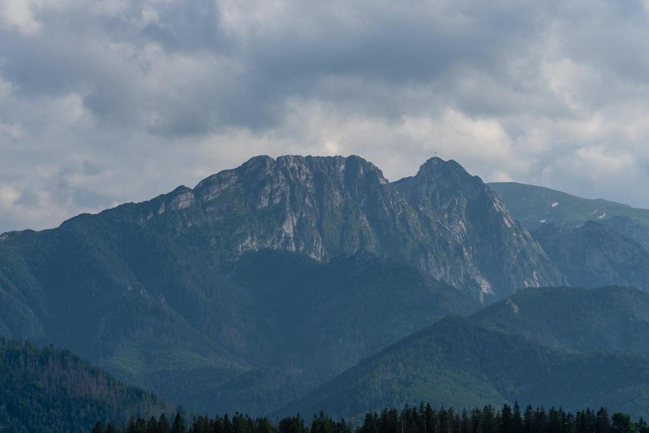 Willa Rzepicha Zakopane Exterior foto