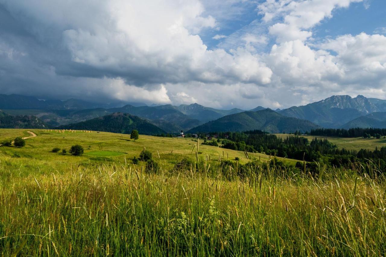 Willa Rzepicha Zakopane Exterior foto