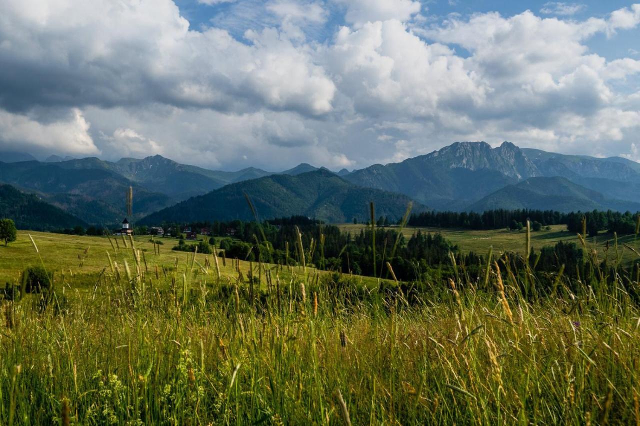Willa Rzepicha Zakopane Exterior foto
